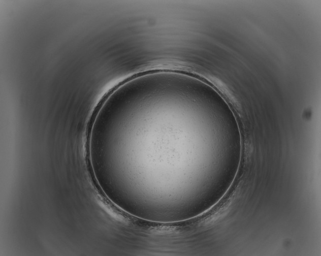 X0000094770846200711241315