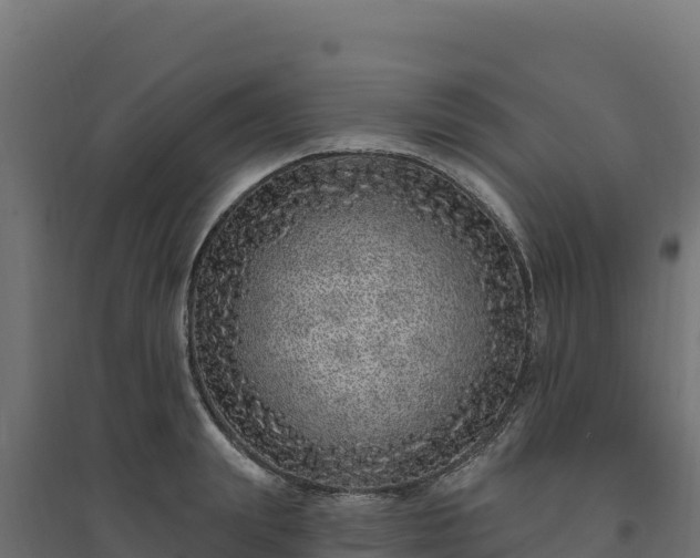 X0000094770847200711241315