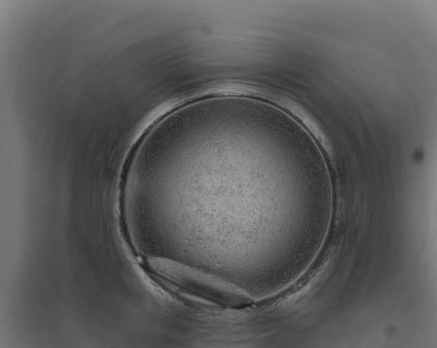 X0000094770853200711241315