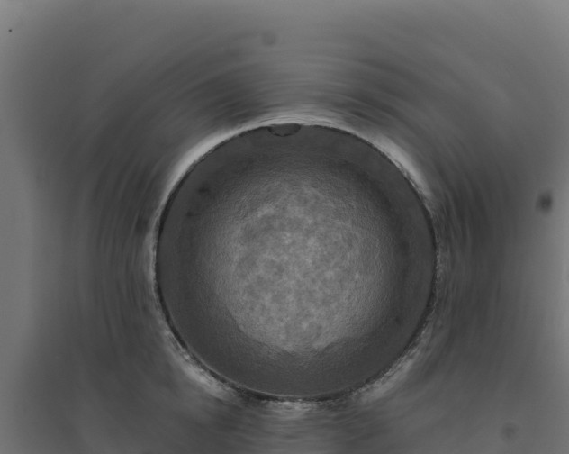 X0000094770854200711241315