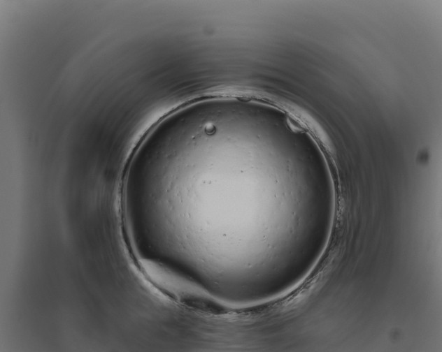 X0000094770855200711241315