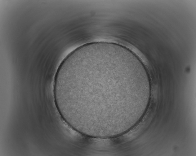 X0000094770856200711241315