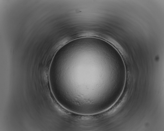 X0000094770857200711241315