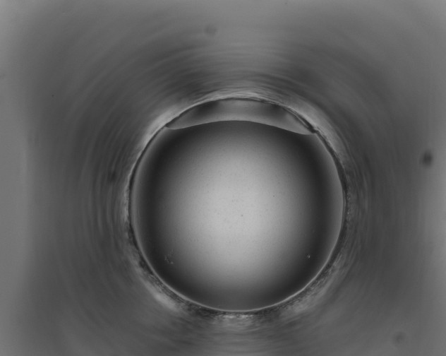 X0000094770858200711241315