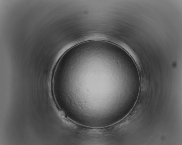 X0000094770861200711241315