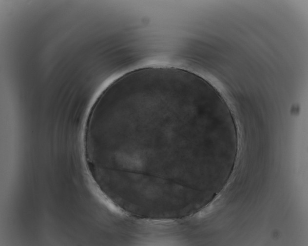 X0000094770864200711241315