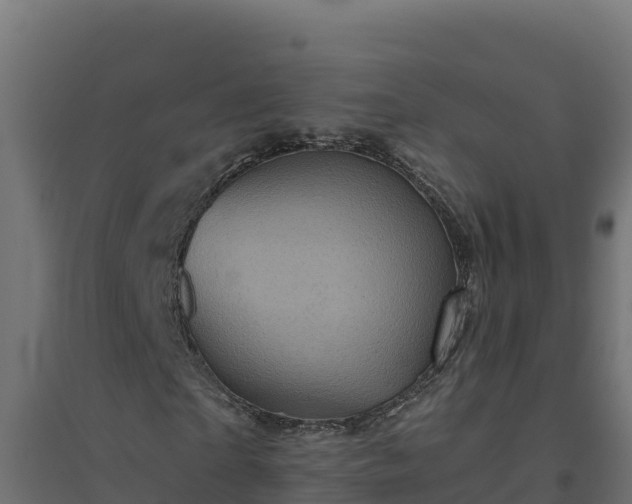 X0000094770865200711241315