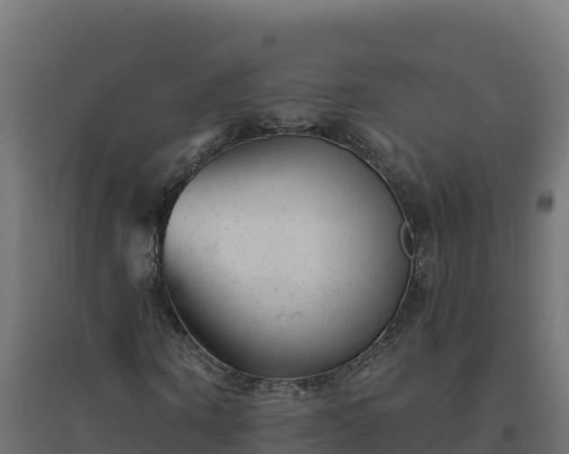 X0000094770866200711241315