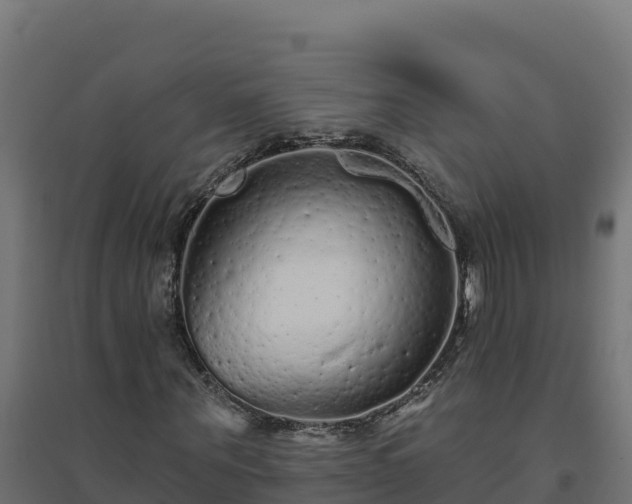 X0000094770867200711241315