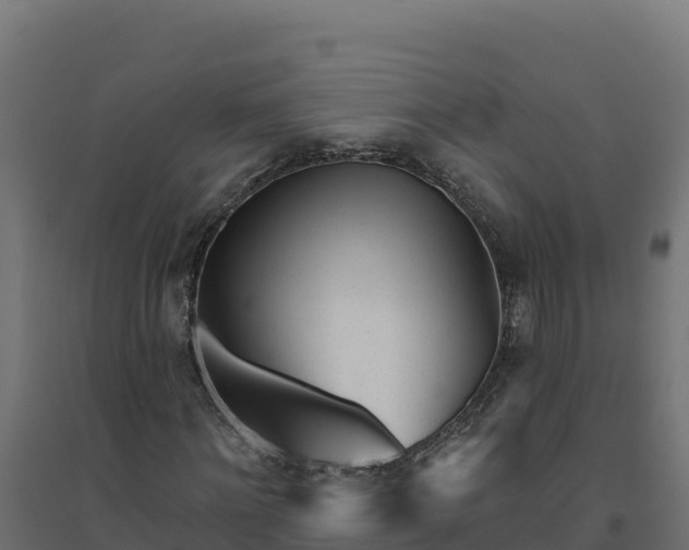 X0000094770868200711241315