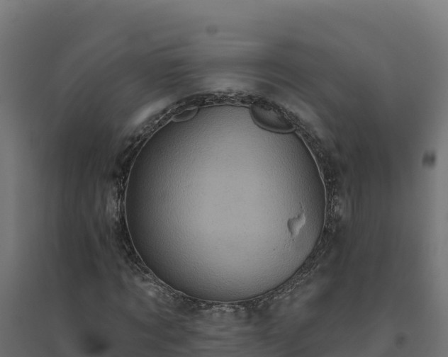 X0000094770869200711241315