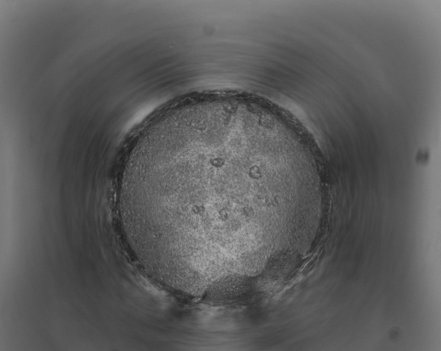 X0000094770871200711241315