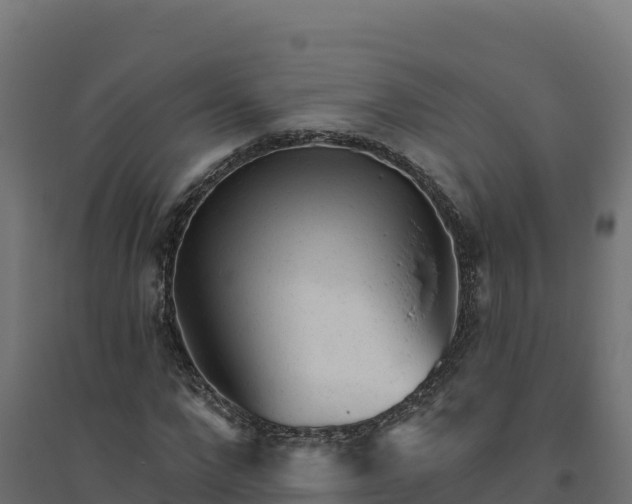 X0000094770872200711241315