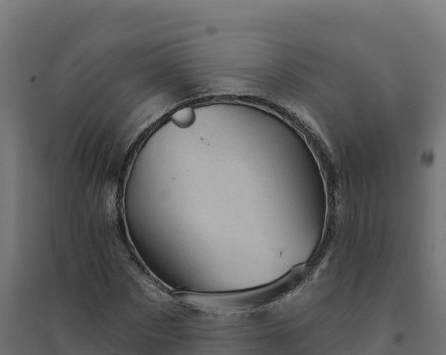 X0000094770873200711241314