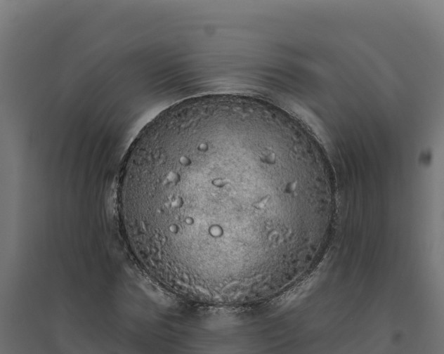 X0000094770875200711241314