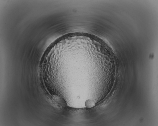 X0000094770879200711241314