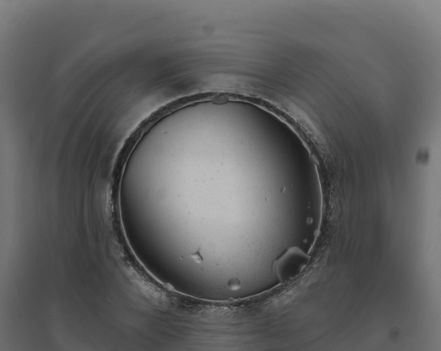 X0000094770880200711241314