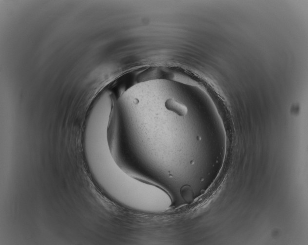 X0000094770881200711241314