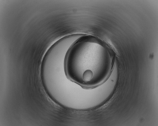 X0000094770884200711241314