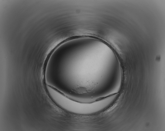 X0000094770885200711241314