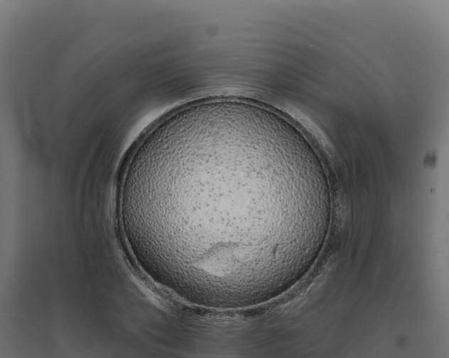 X0000094770886200711241314