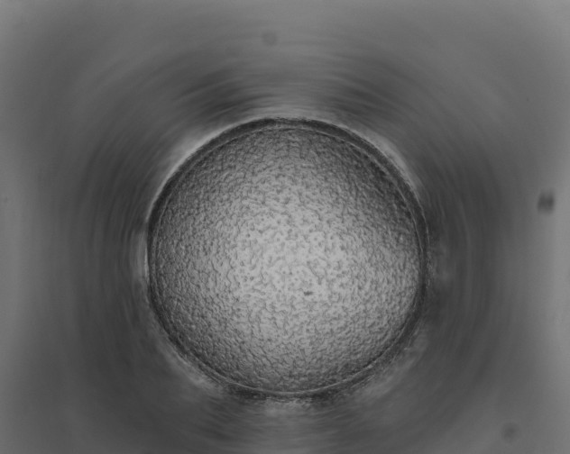 X0000094770887200711241314