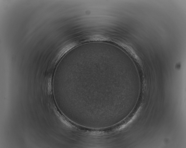 X0000094770889200711241314