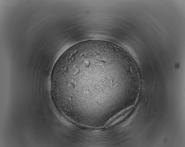 X0000094770891200711241314