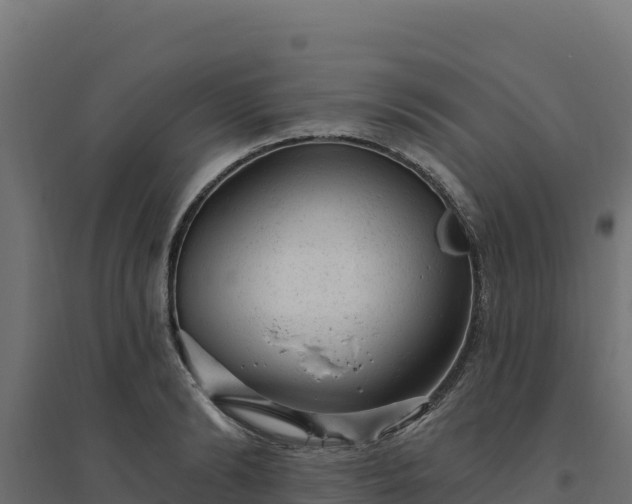 X0000094770894200711241314