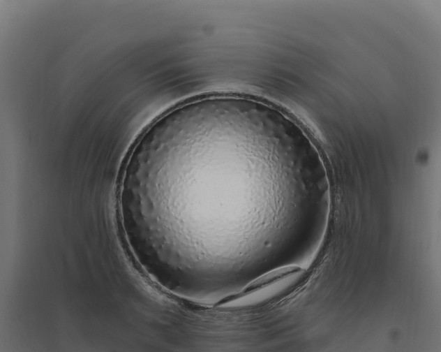 X0000094770895200711241314