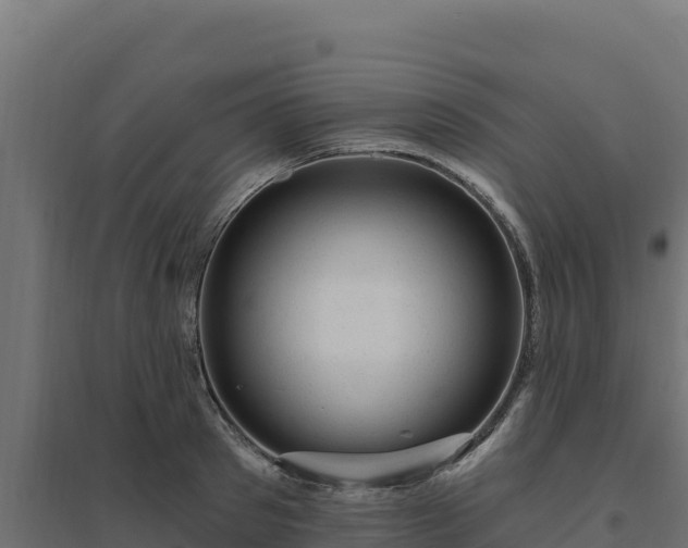 X0000094770897200711241314