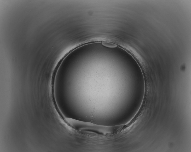 X0000094770902200711241314