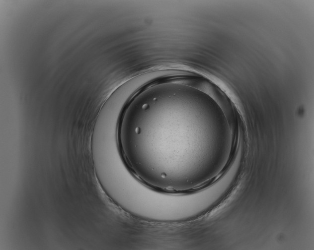 X0000094770905200711241314