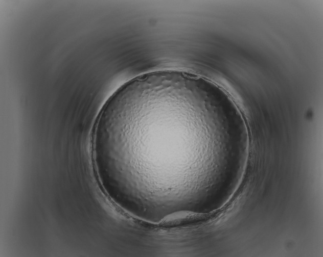 X0000094770907200711241314