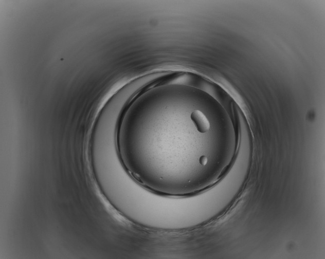 X0000094770909200711241314