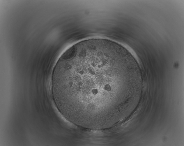 X0000094770911200711241314