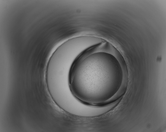 X0000094770912200711241314