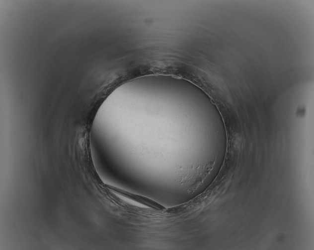 X0000094770914200711241313