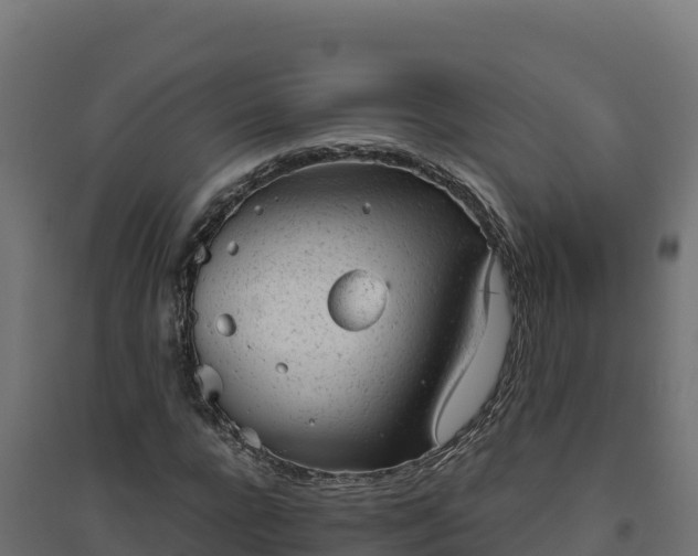 X0000094770920200711241313