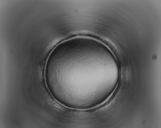 X0000094770921200711241313