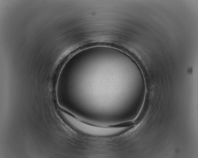 X0000094770922200711241313