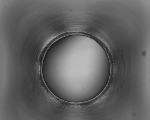 X0000094770925200711241313