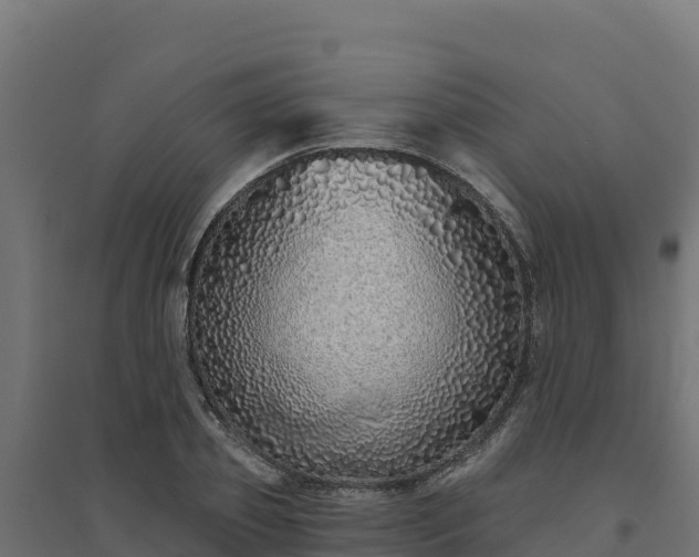 X0000094770933200711241314