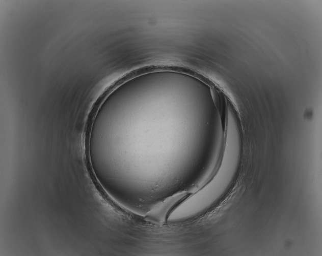 X0000094770935200711241314