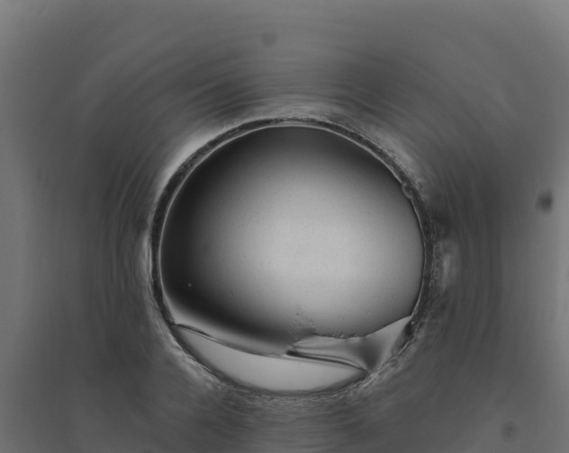 X0000094770936200711241314