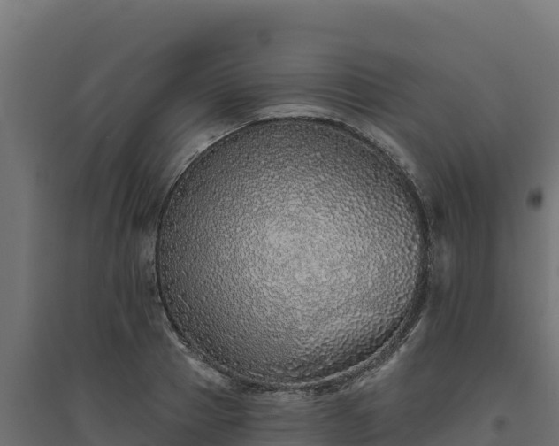 X0000094770937200711241314