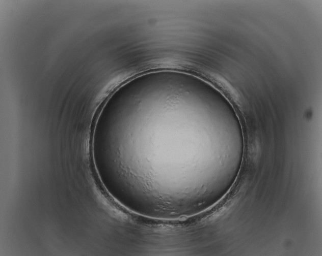 X0000094770938200711241314