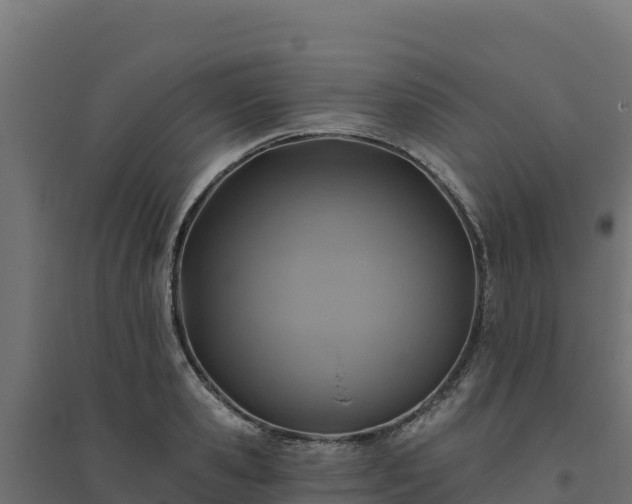 X0000094770941200711241314