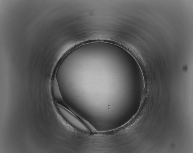 X0000094770942200711241314