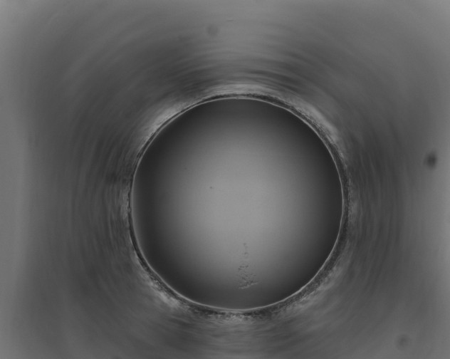 X0000094770945200711241314